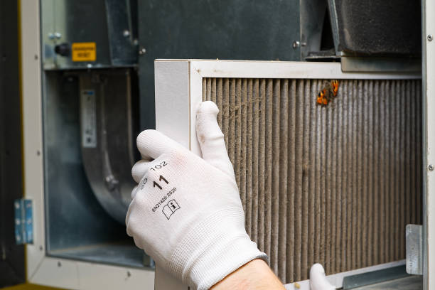 Best Ductwork Cleaning Services  in Tickfaw, LA