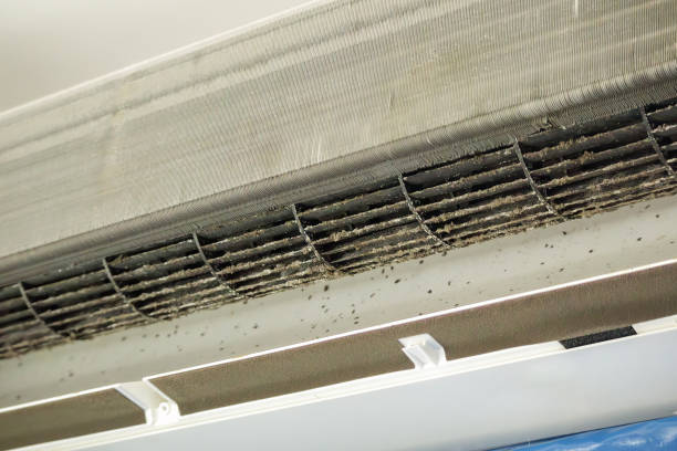 Best Affordable Duct Cleaning Services  in Tickfaw, LA